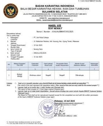 Kerang Dara