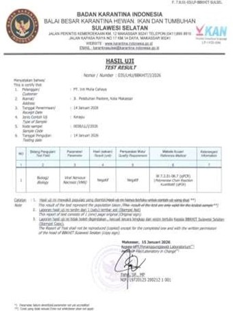 Kerapu